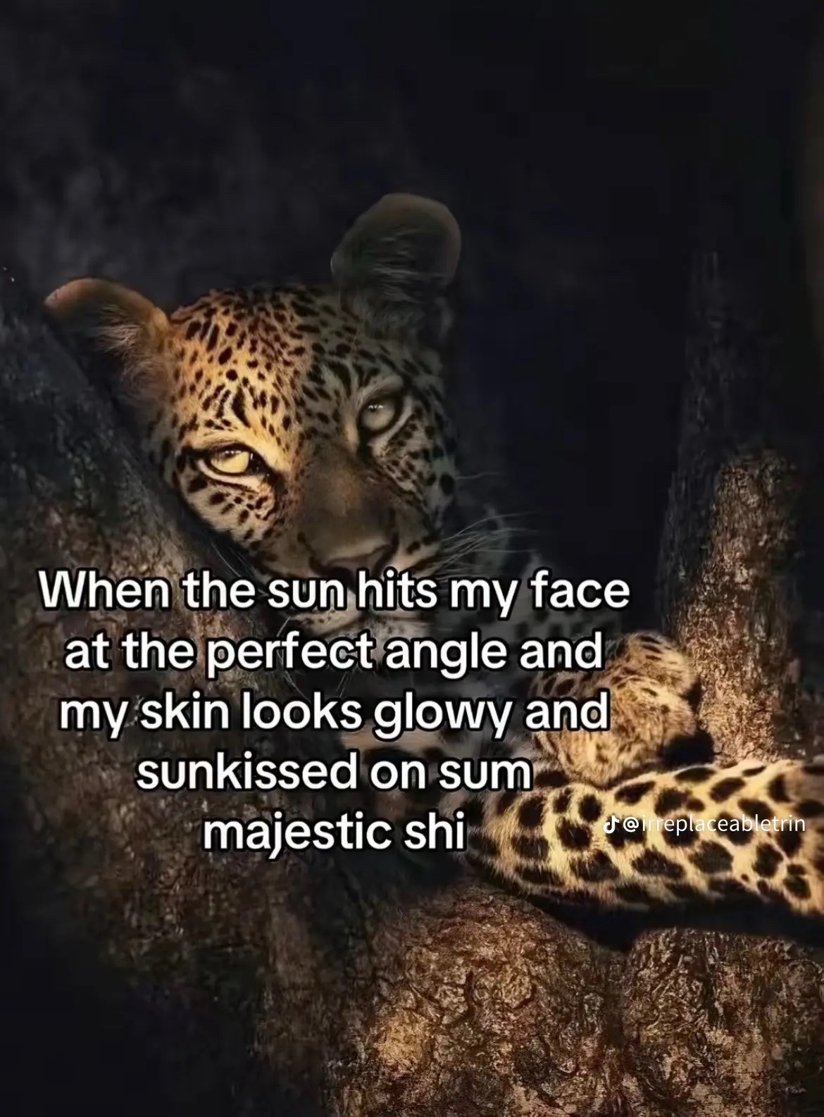 @ZelusJayo