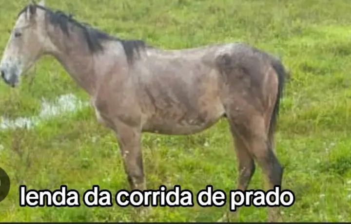 @Kauã Gabriel