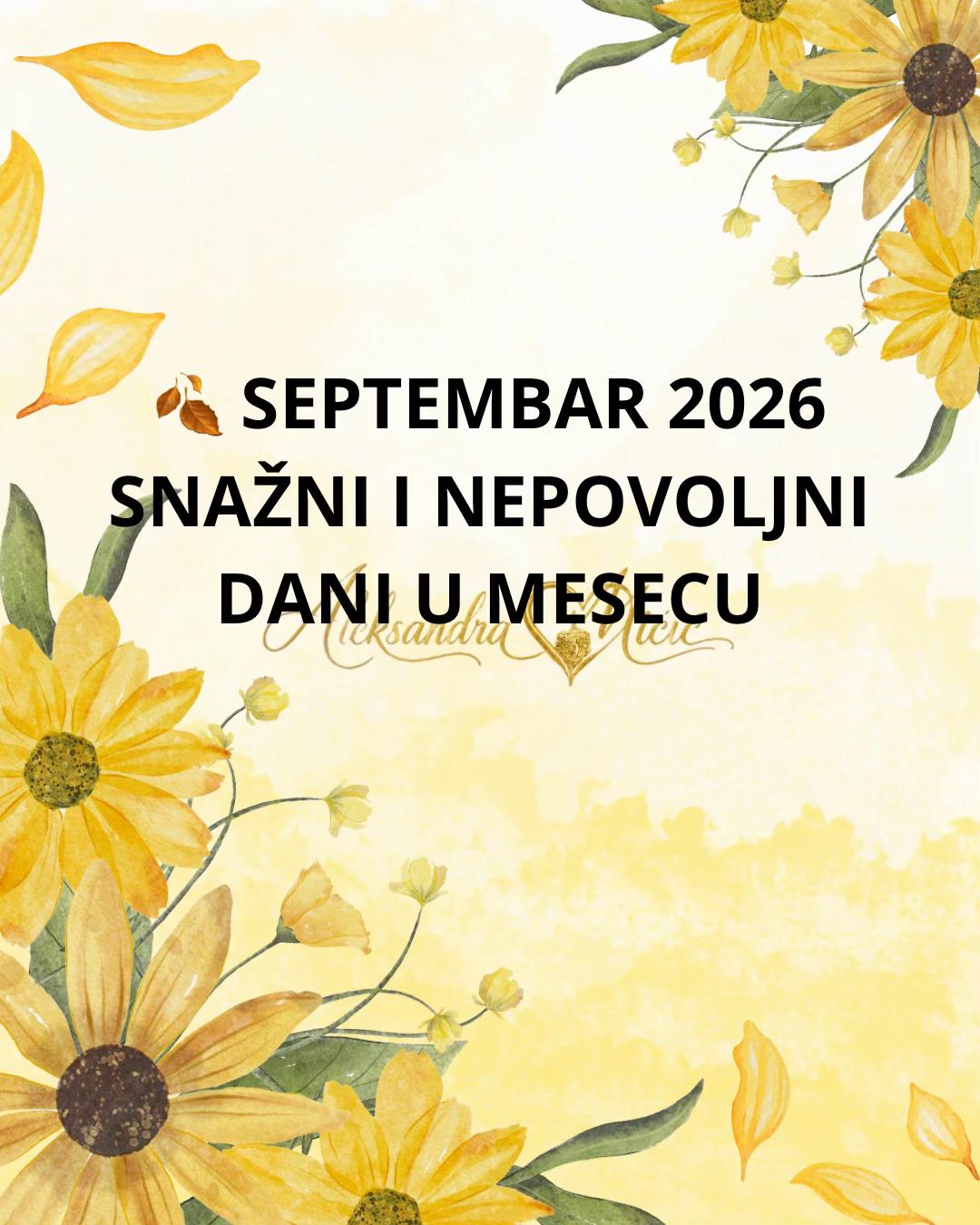 @Aleksandra Micic