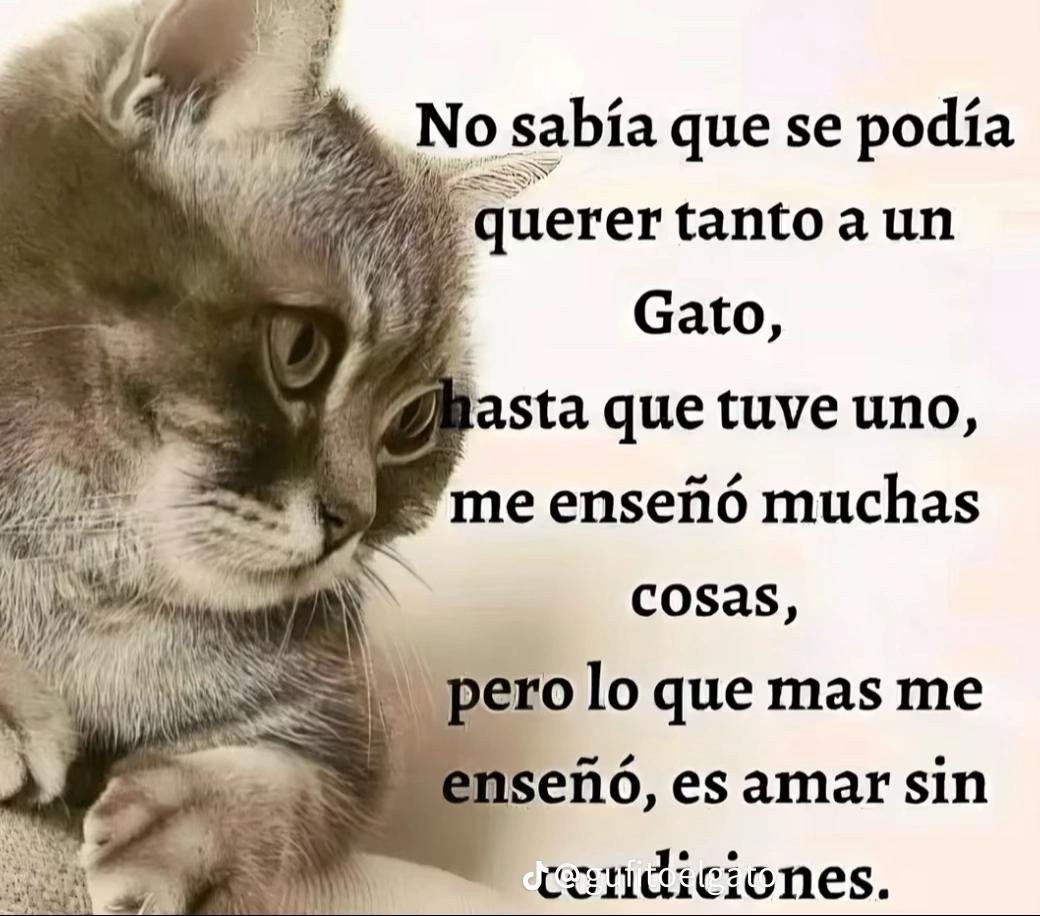 @🍬🍭💛Caramelo Oficial🇻🇪