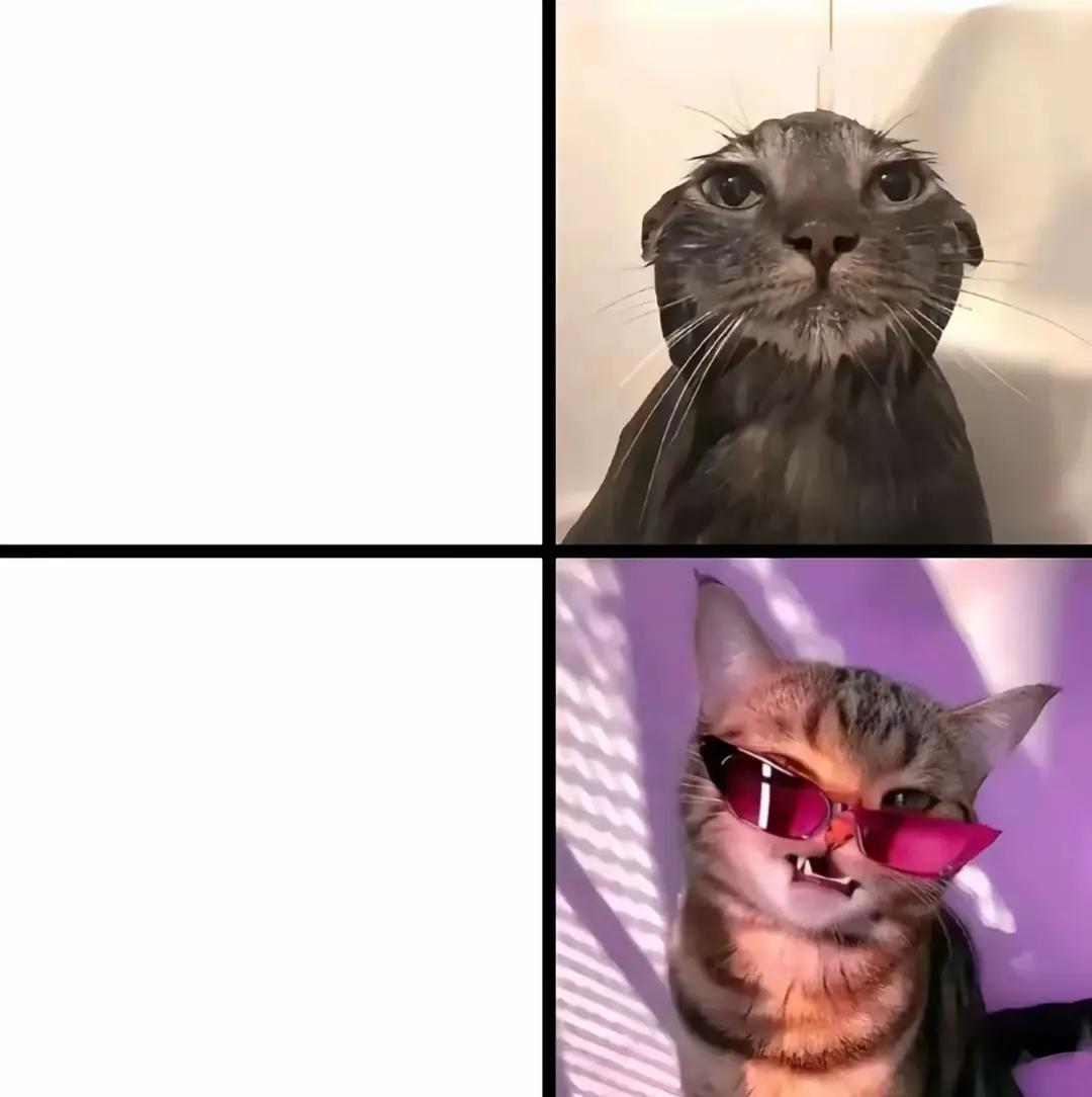 @SYLOX
