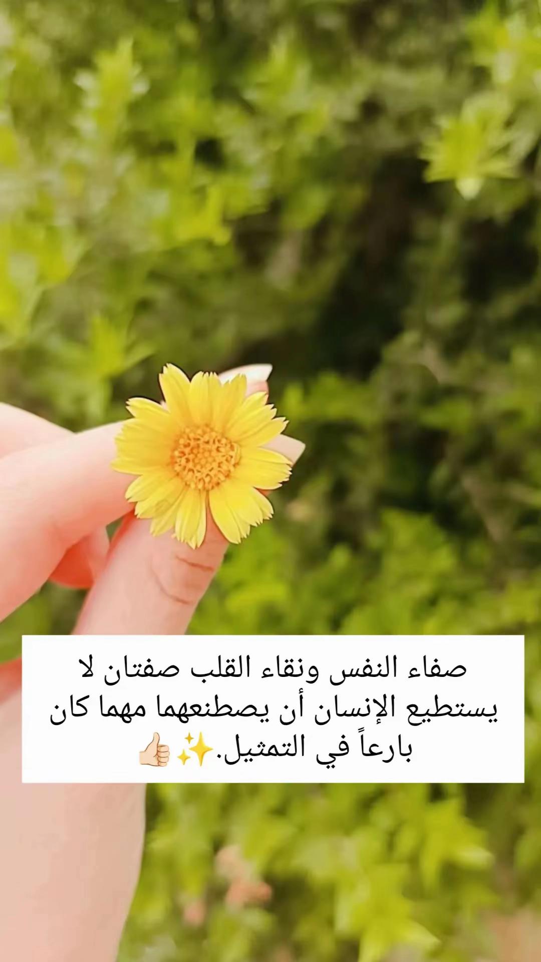 @رقہہة أنہہثہہى