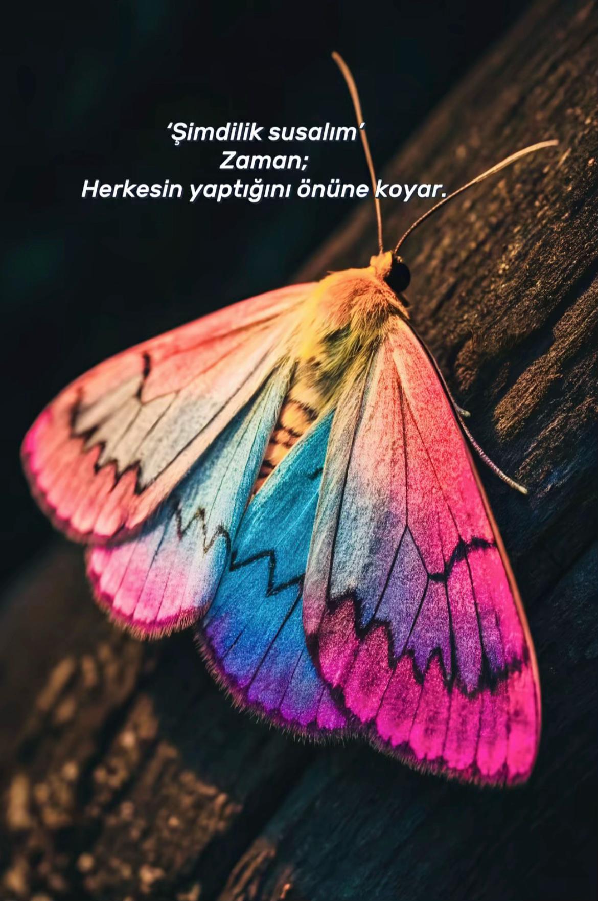 @xeyale♉