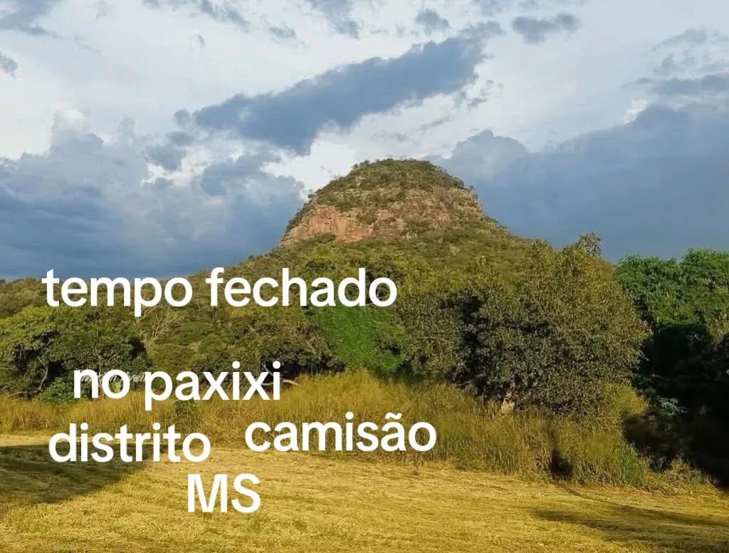 @Maria F&eacute;lix