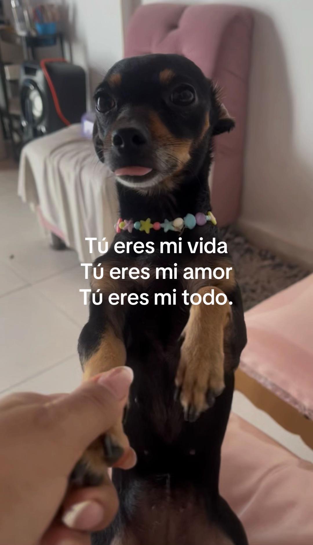 @r_t.a12