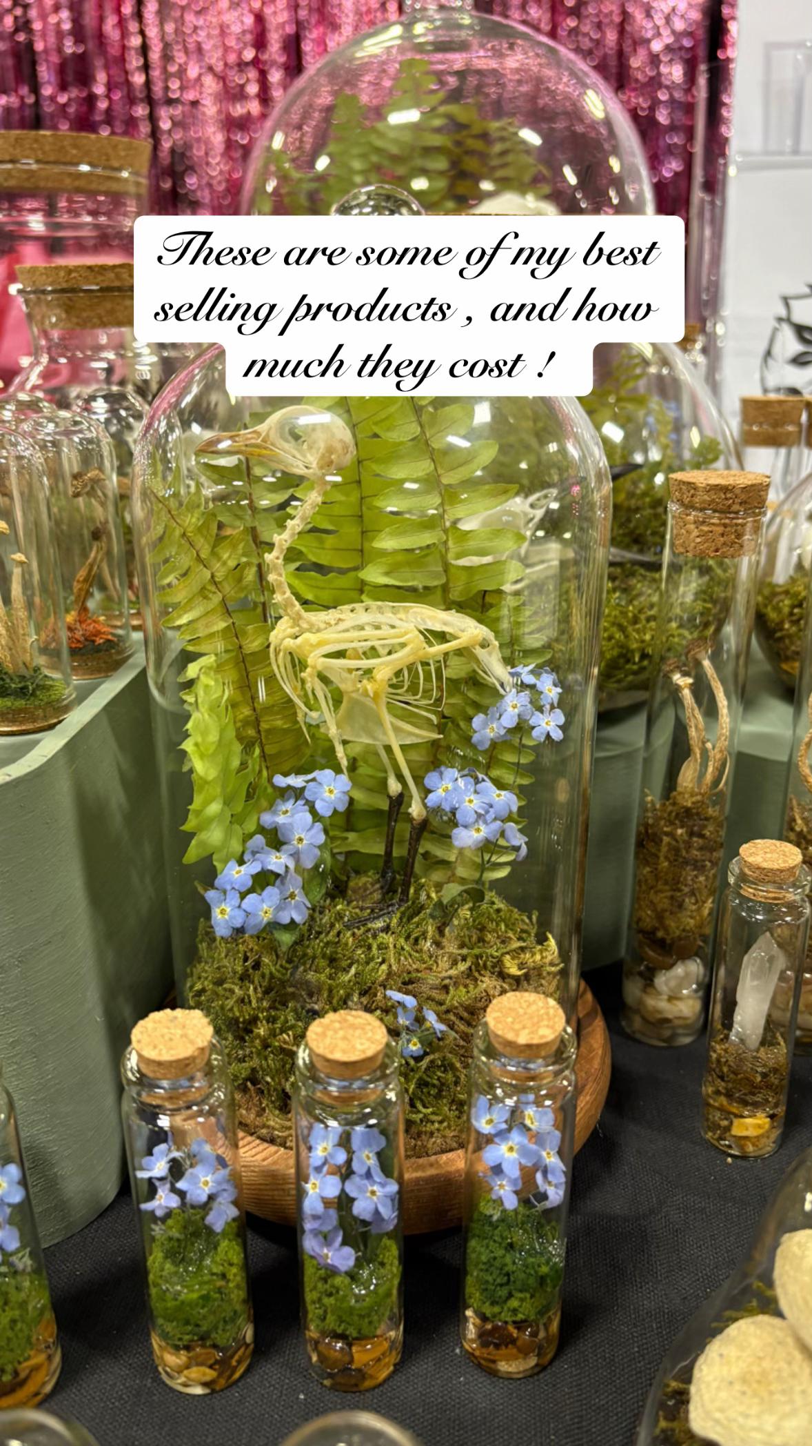 @Goo15_ emporium