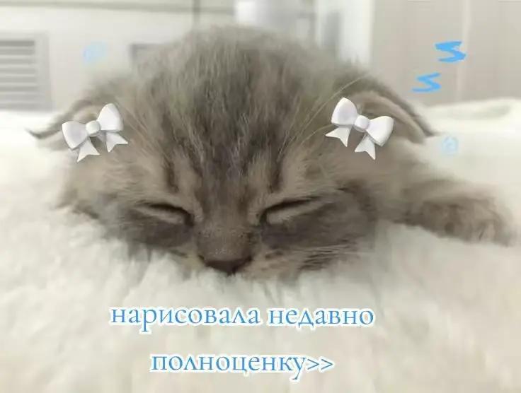 @aksii_