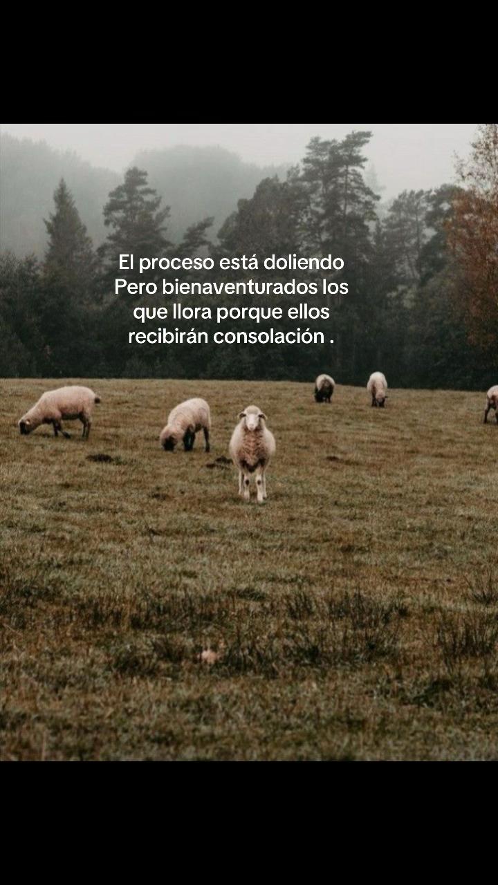 @Contenido cristiano 🤍✝️