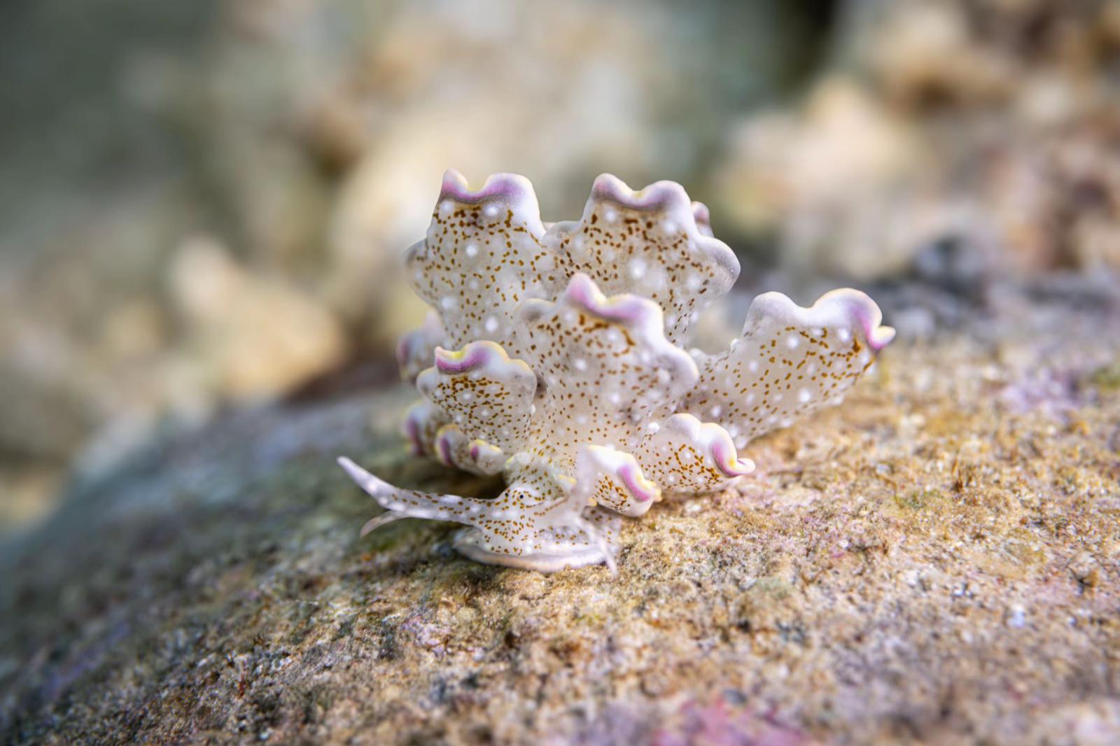 @Diving Tips and Stories
