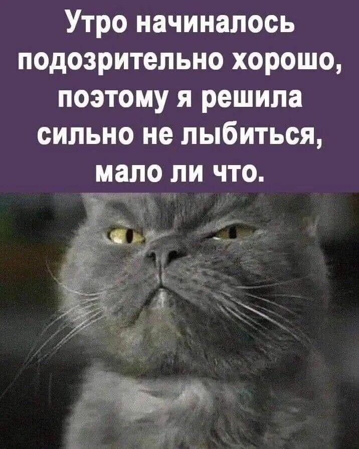 @VREDINKA😜