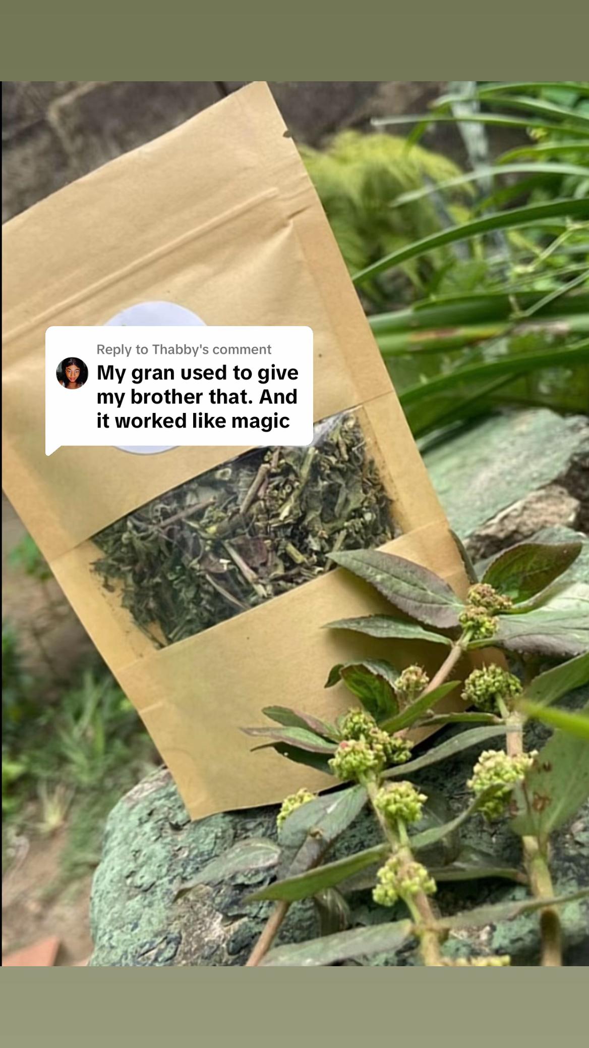 @Asthma-plant_herbalshop