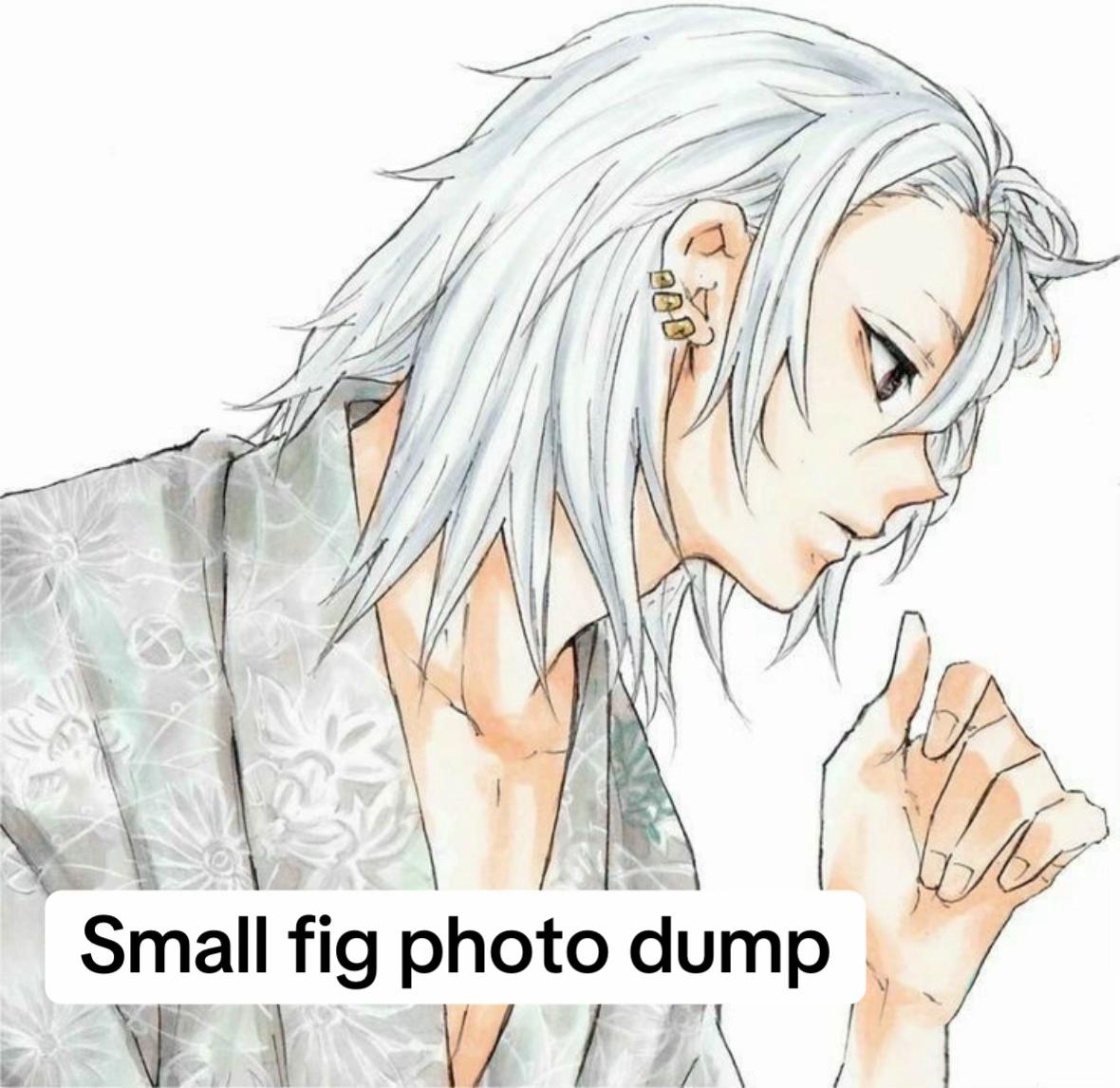 @USAGI figures