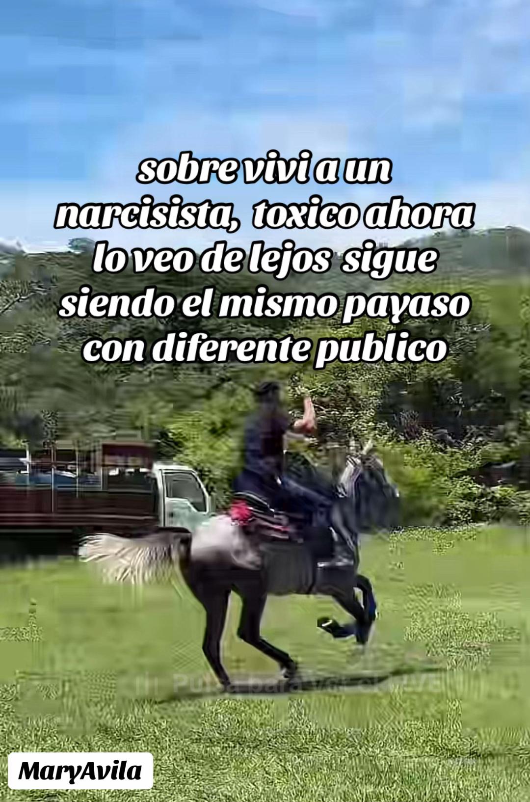 @Mary Avila