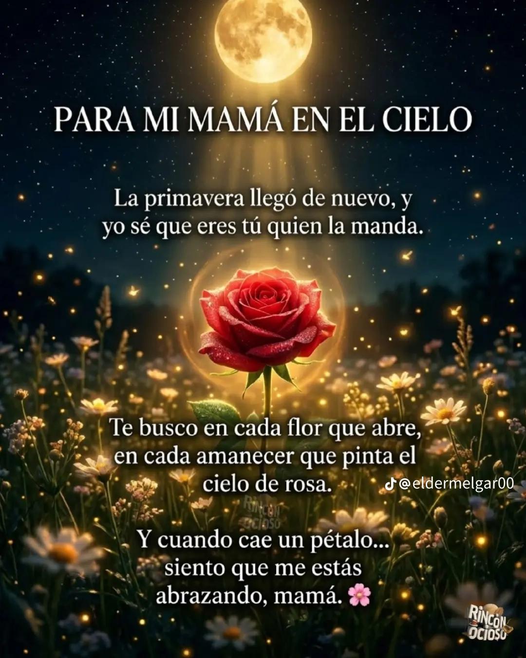 @🥺🥰 la  princesa 👸 chapina🥺