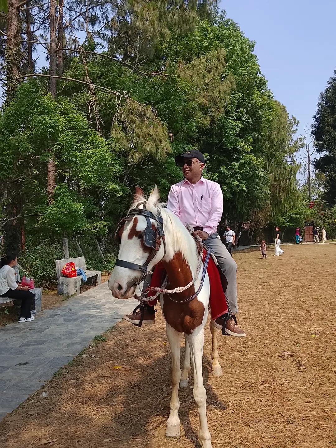 @arjunbaral306