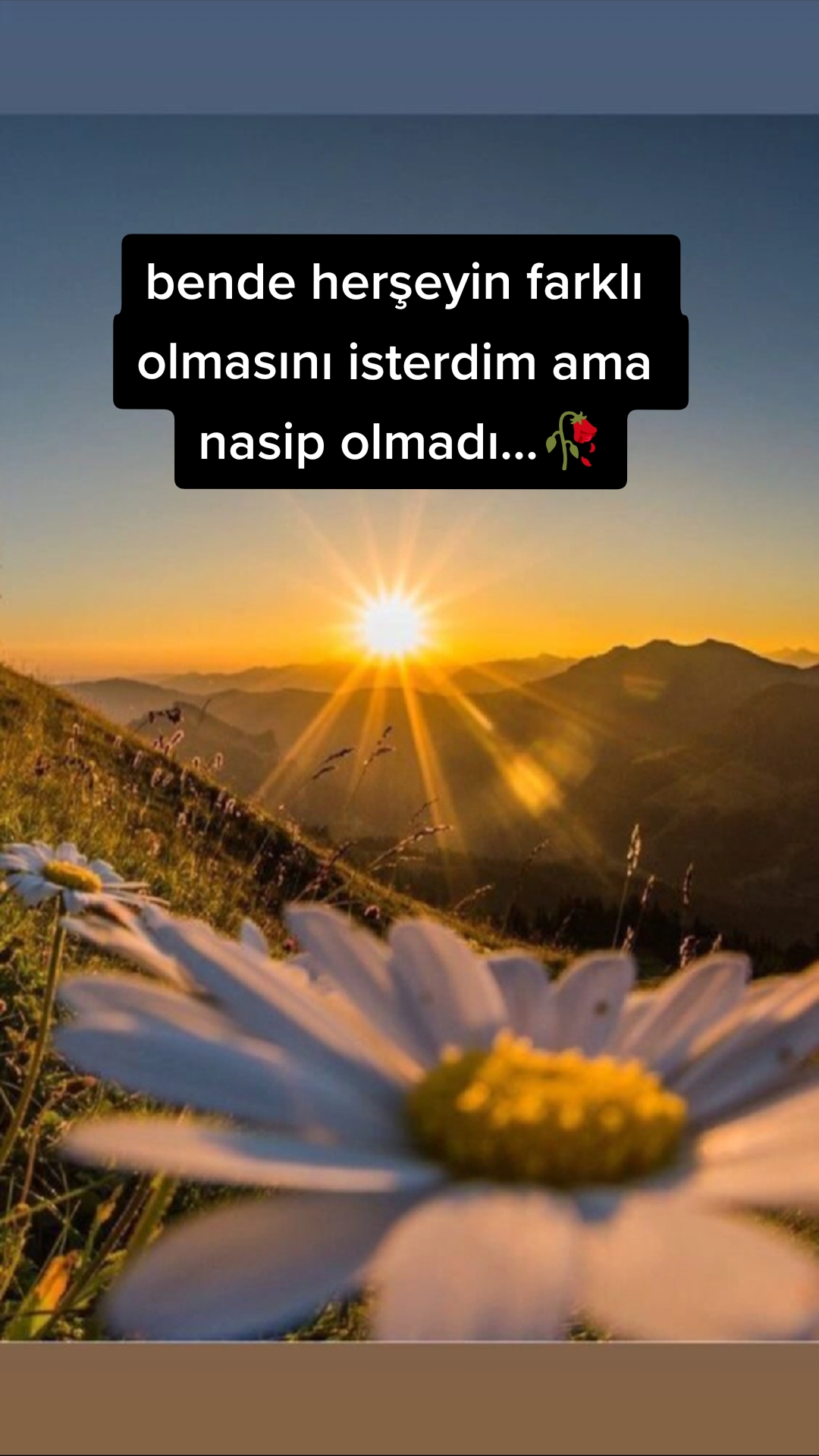 @İbrahimx0763