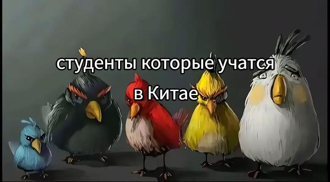 @Ну Мира/米拉