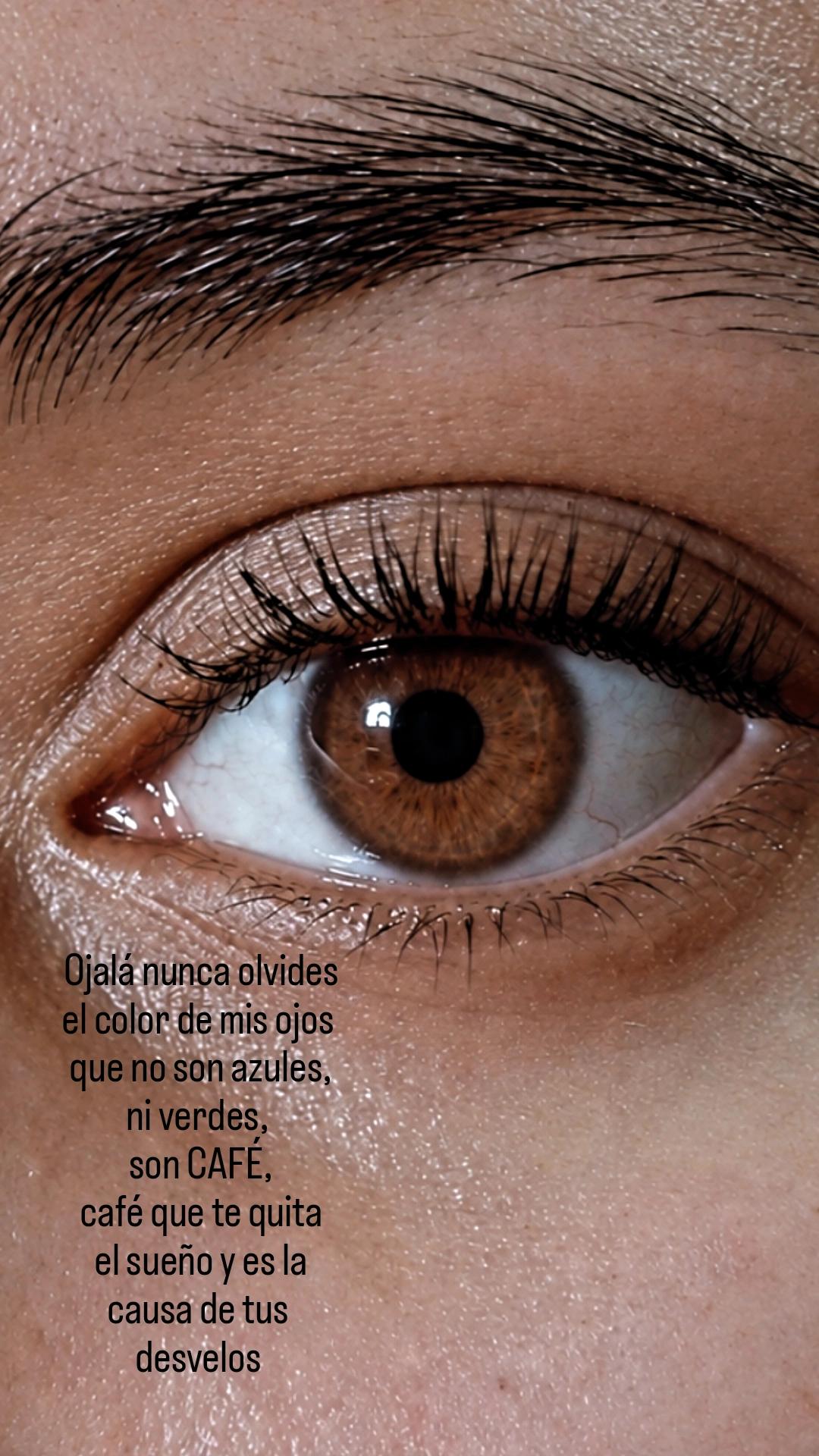 @𝒅𝒆𝒅𝒓𝒊𝒔𝒔