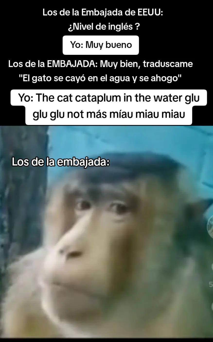 @ɴᴇʟsᴏɴXᴅ⛎