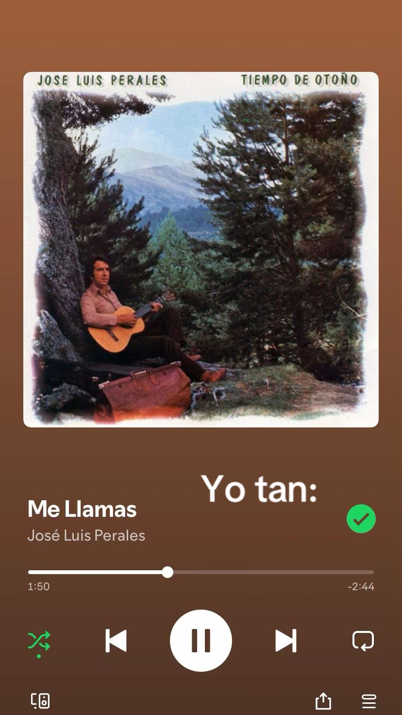 @Melissa Canchola