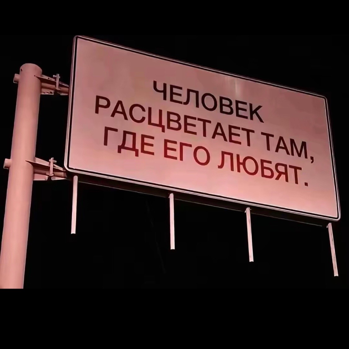 @Враг народа 🫠