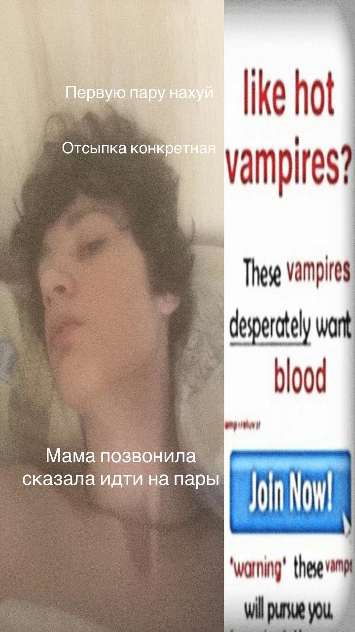 @Shakevv