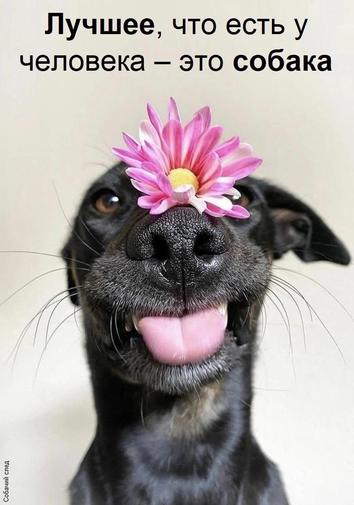 @Денис Манис !