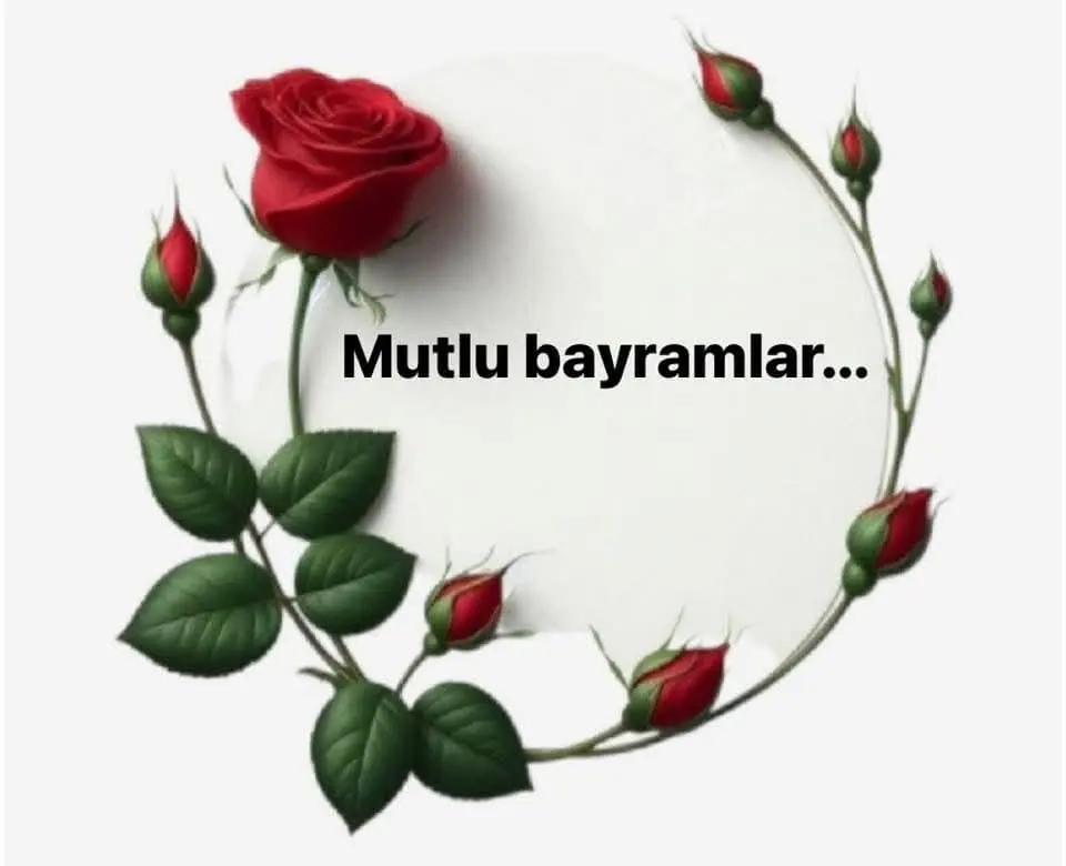 @Dilek Yılmaz