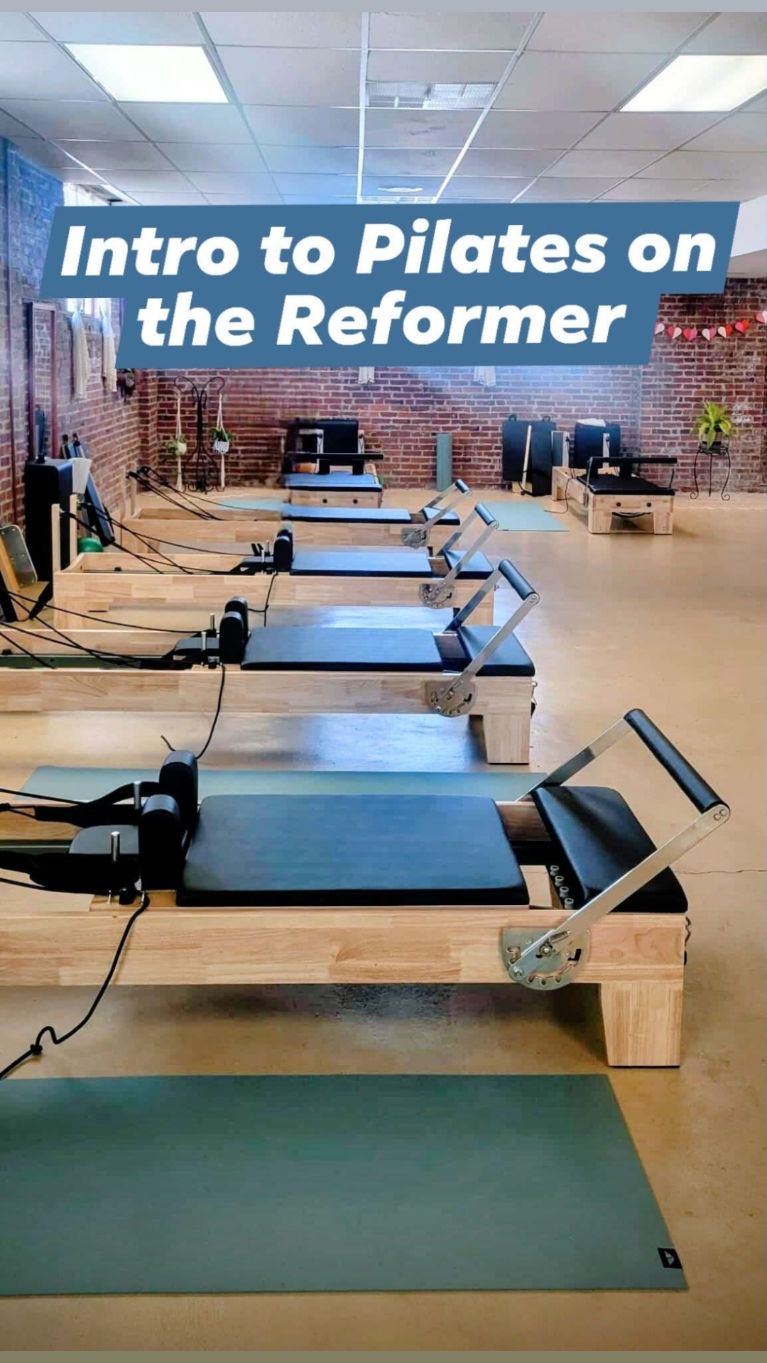 @Mountain Movement and Mindset