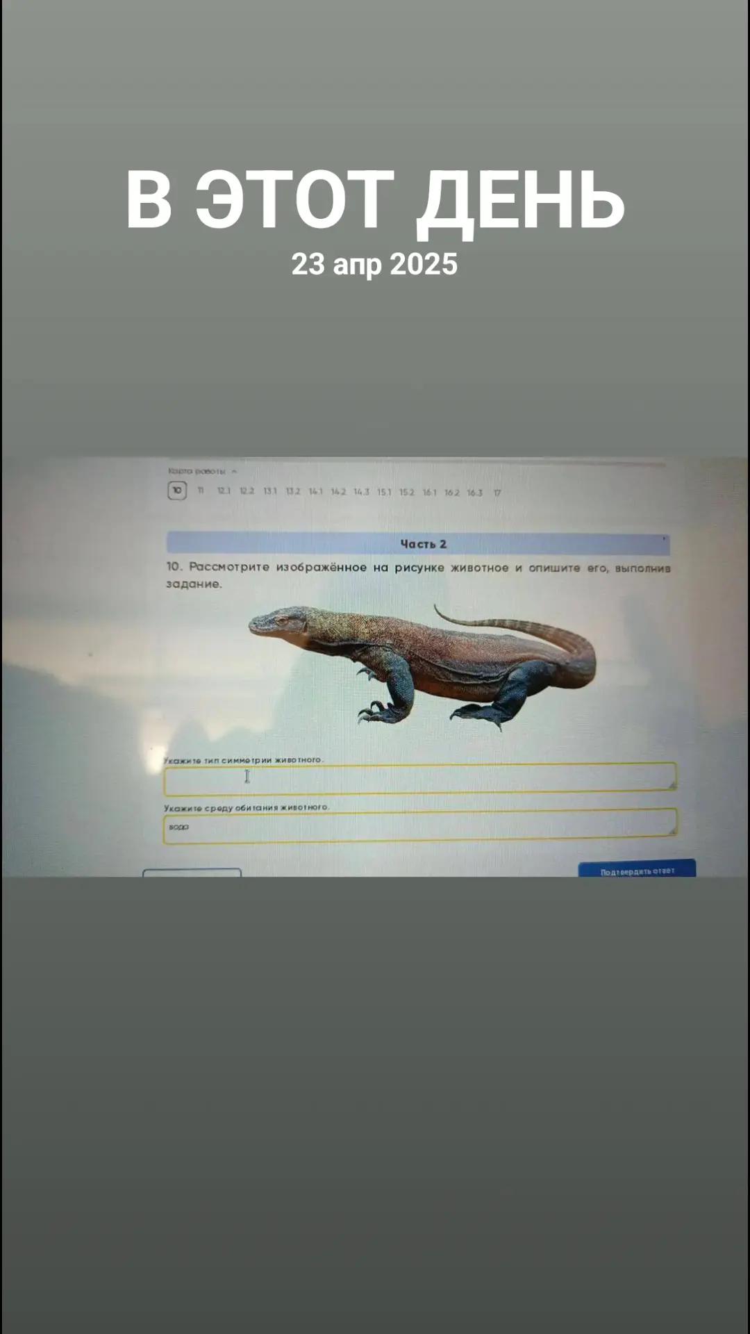 @саша шишка