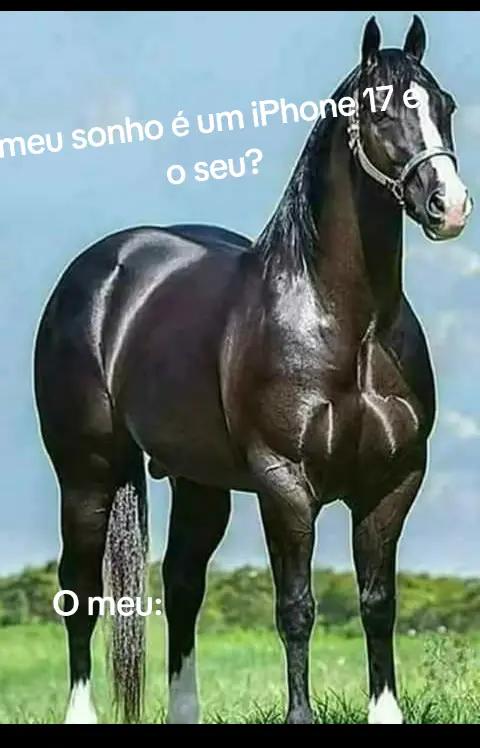 @Sam&uacute;ka