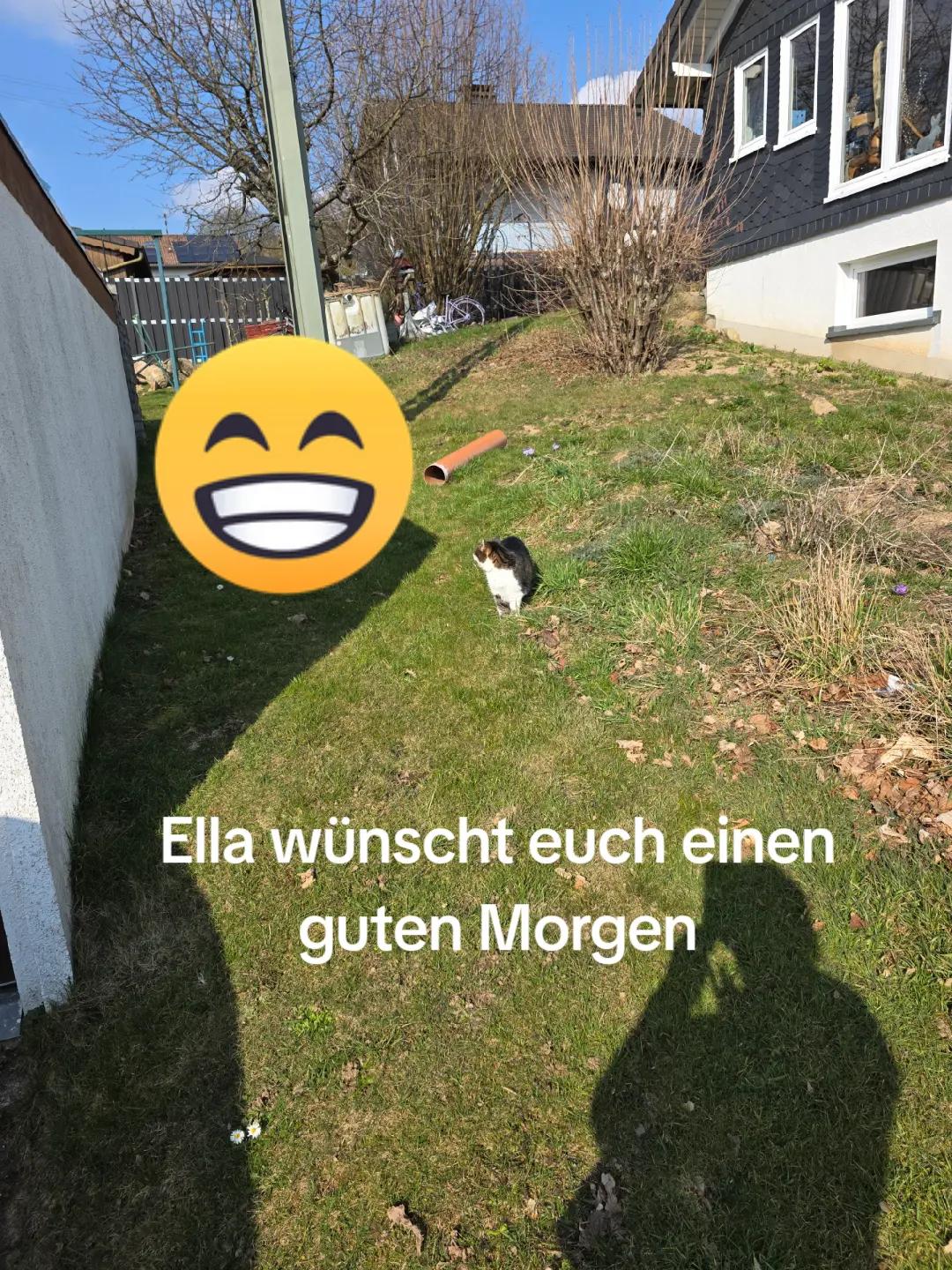 @Sarah Schumacher