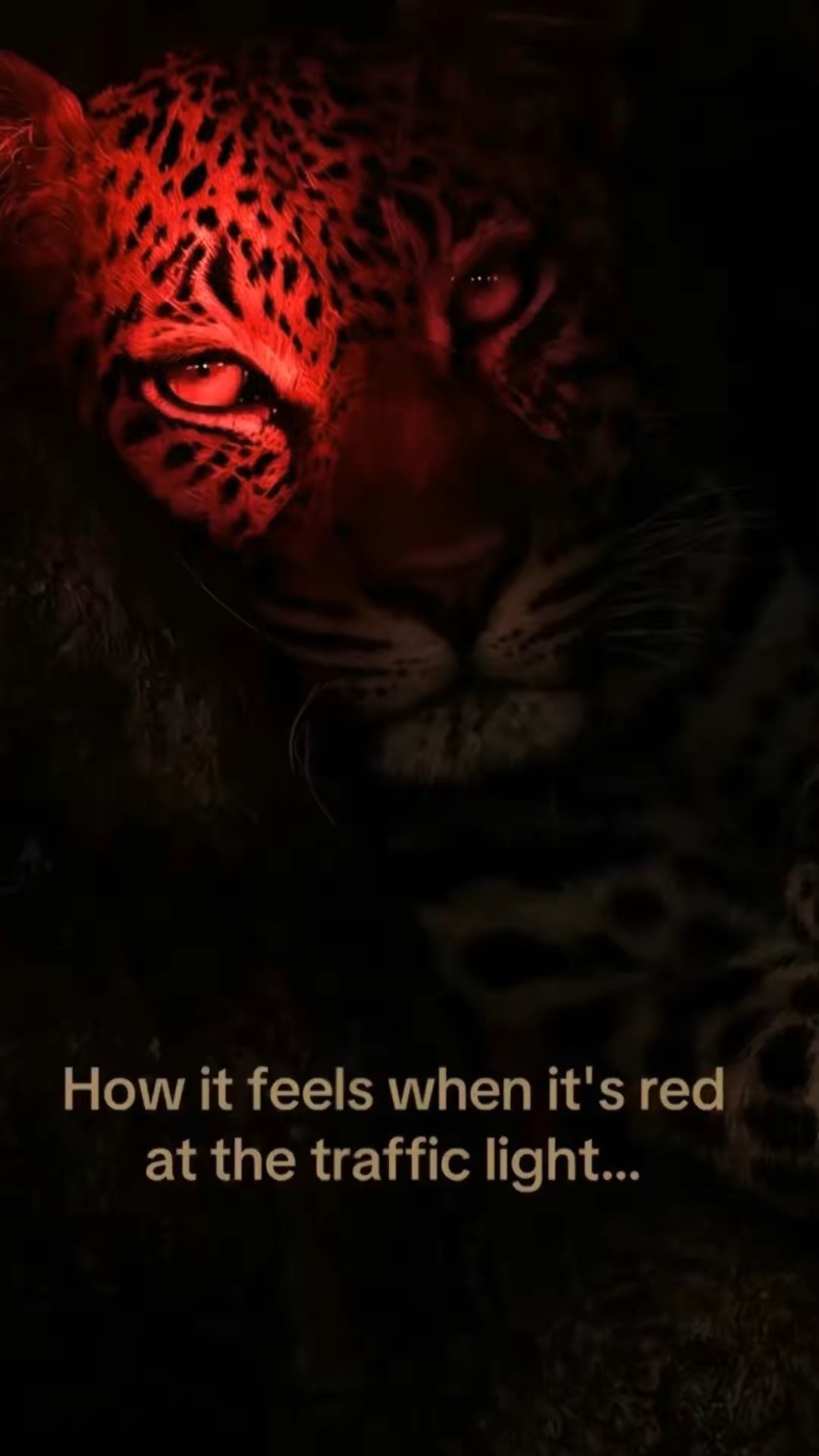 @ 