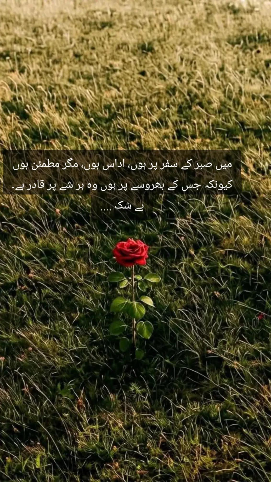 @Minahil_writes510
