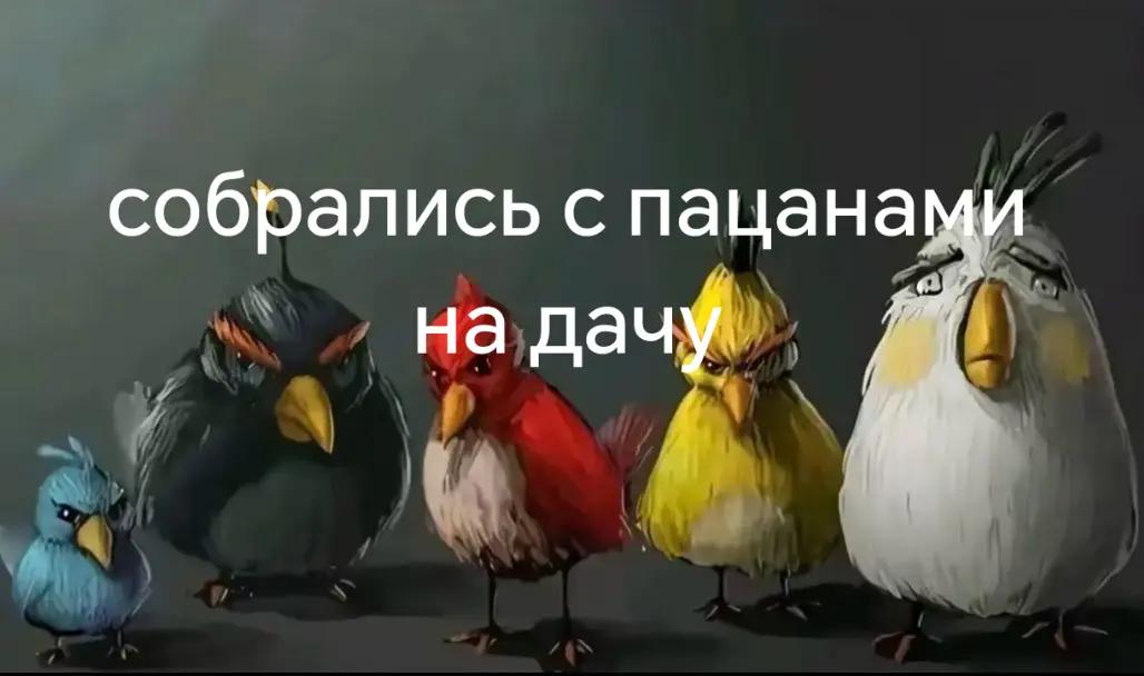 @ZalypacheZ_