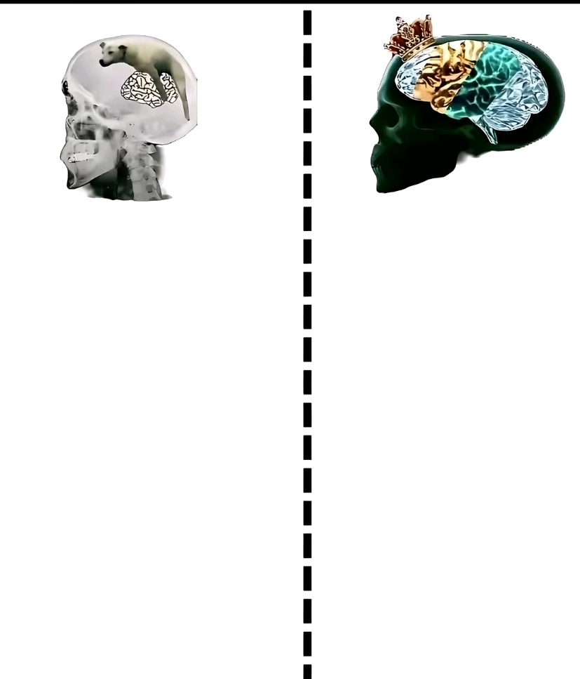 @KÃÑ VĒŘ
