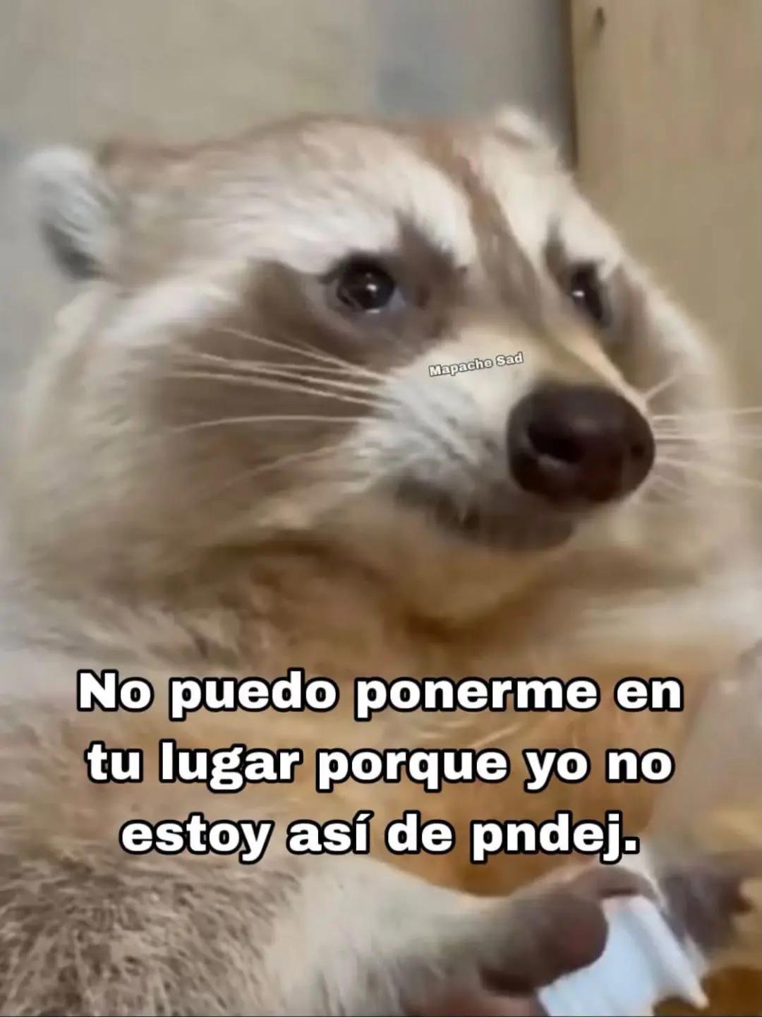 @Carlos Alberto