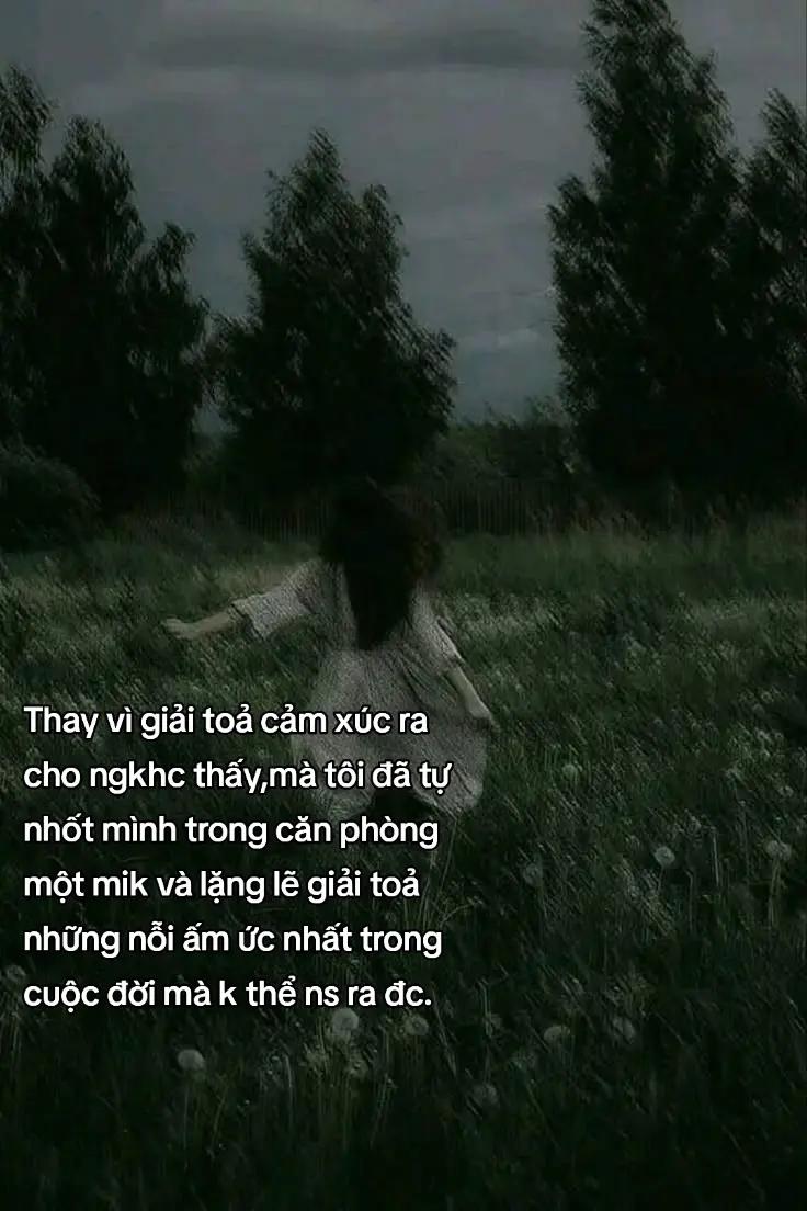 @≽^• ˕ • ྀི≼