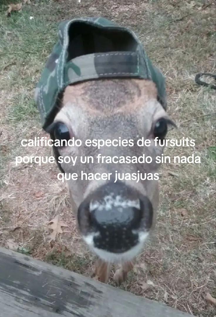 @keej