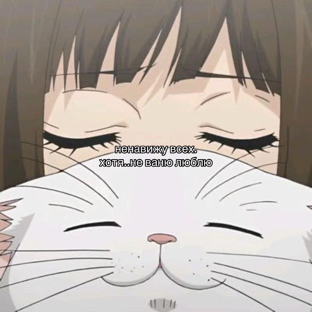 @люблю ванюю