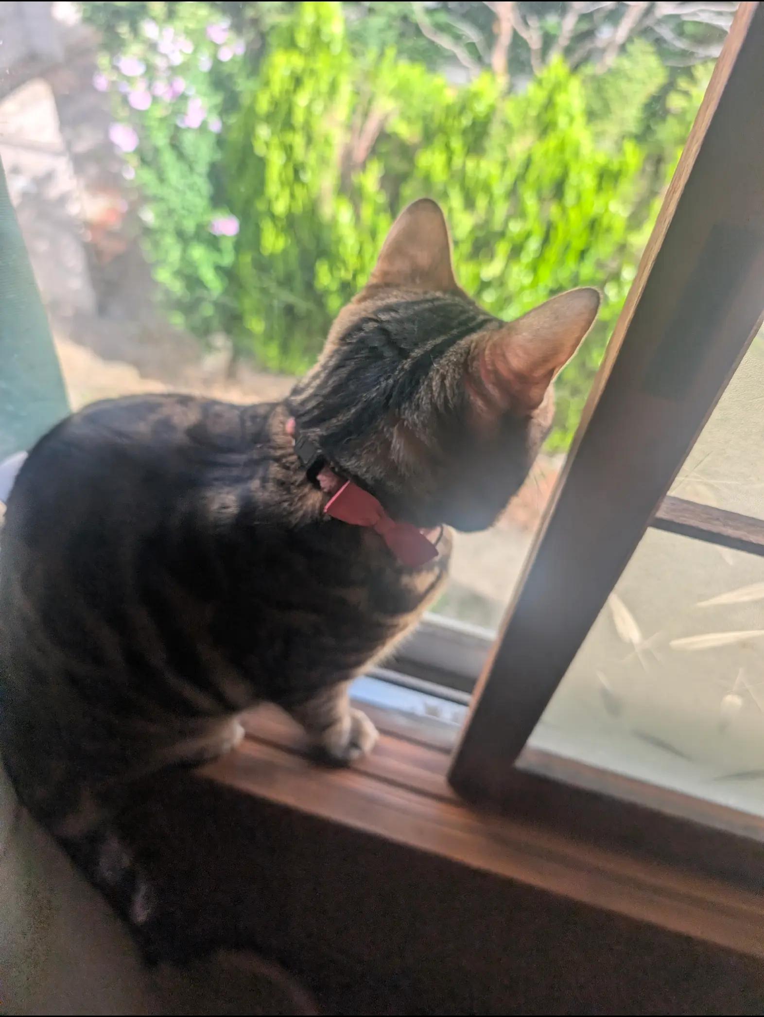 @睡眠プロデュース