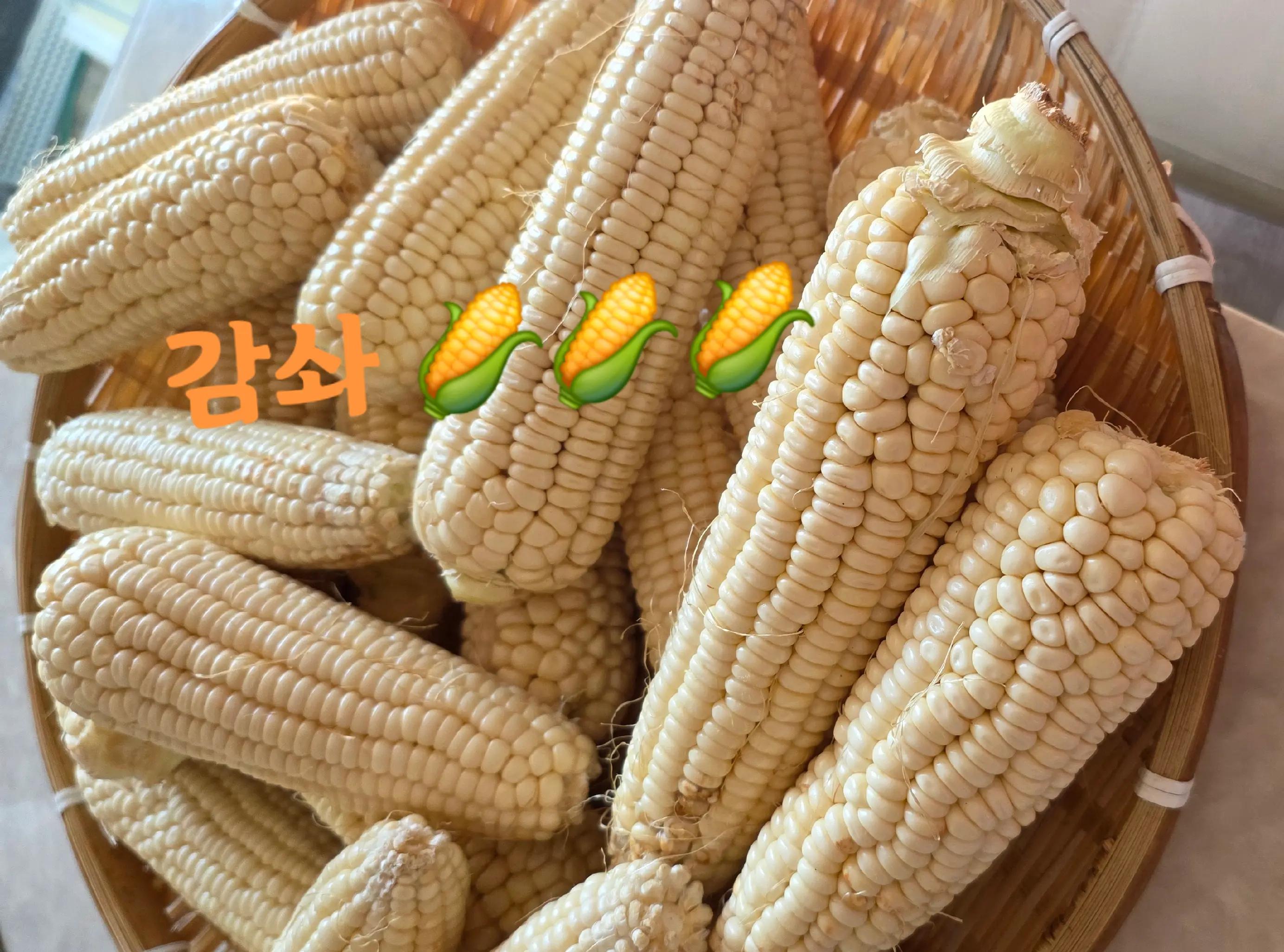 @요리 잘하는 이사임당
