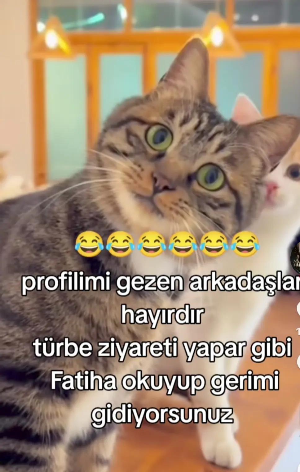 @💍❤️EMEL AK ❤️💍