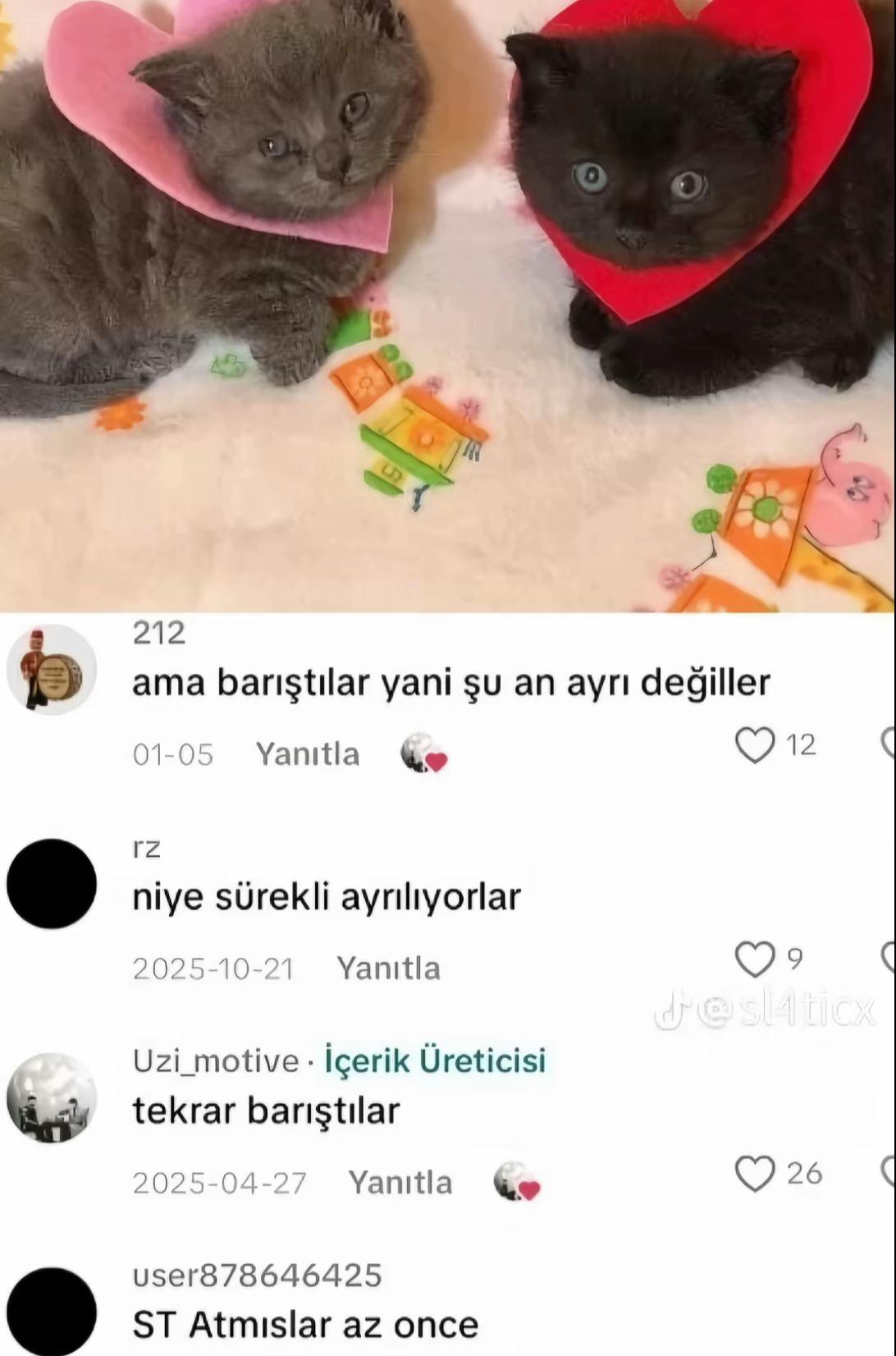 @aptal sarışın