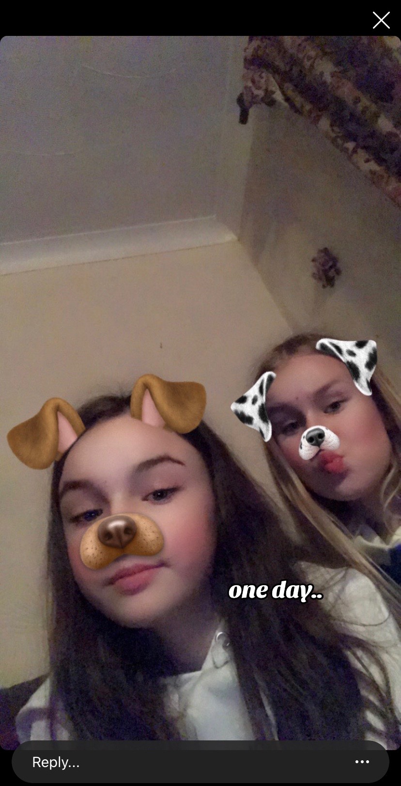 @avs x