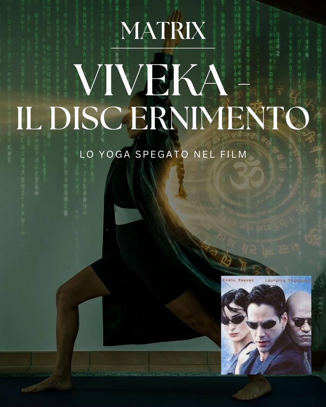 @Toyoga