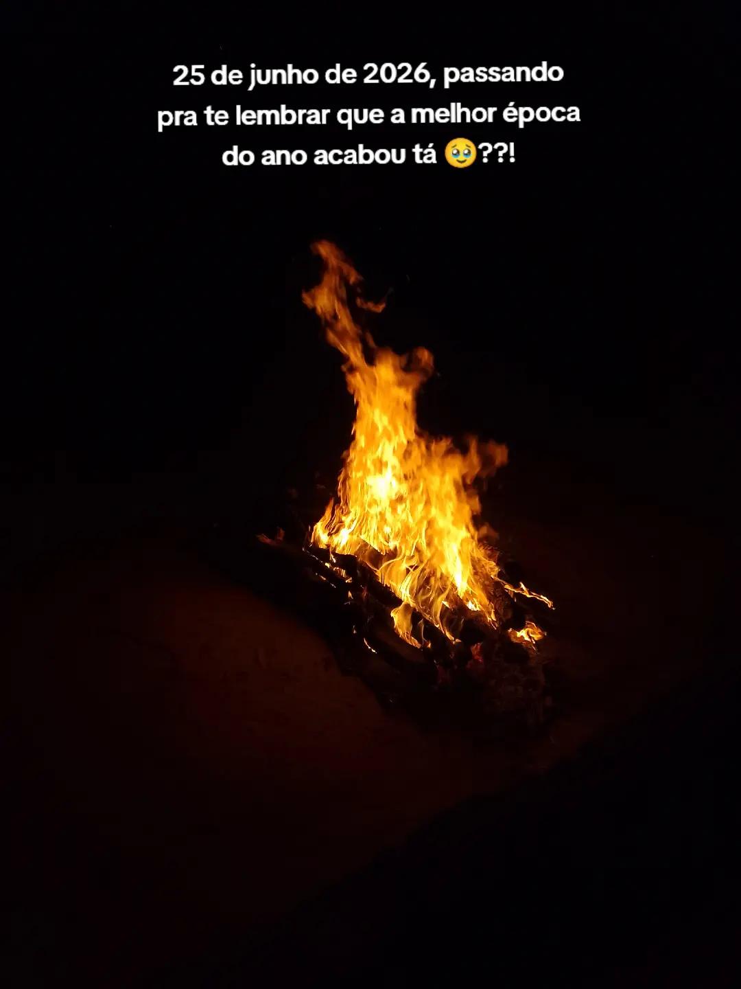 @🐆