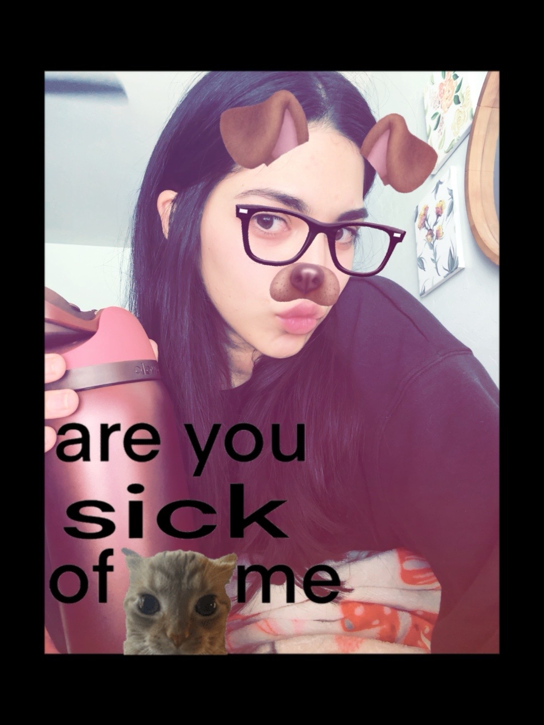 @catarina
