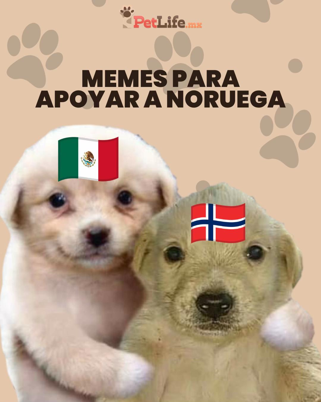 @Petlife