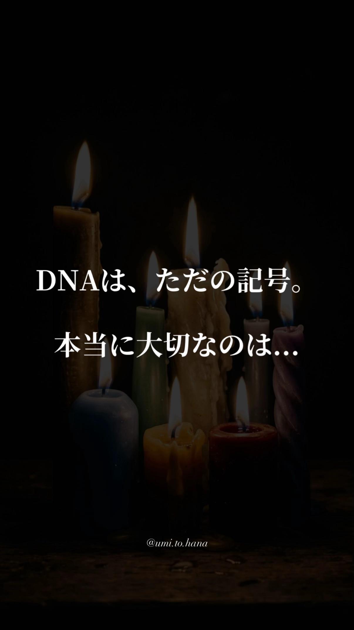 @海花 umika｜ママに寄り添う言葉🌙